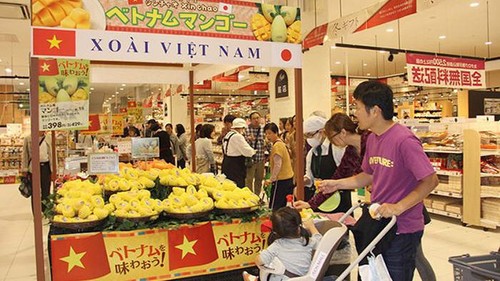 Người Việt ở nước ngoài tham gia giới thiệu, tiêu thụ sản phẩm và phát triển kênh phân phối hàng Việt Nam ở nước ngoài - ảnh 1