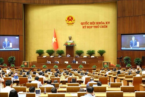 Quốc hội thảo luận về dự án Luật sửa đổi, bổ sung một số điều của Bộ luật Hình sự - ảnh 1