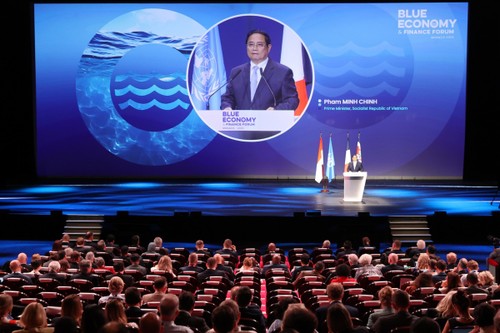 Việt Nam cam kết là đối tác tin cậy, sẵn sàng đồng hành trong nỗ lực toàn cầu bảo vệ đại dương - ảnh 1