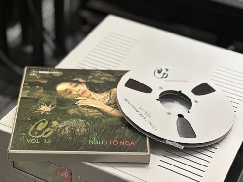 Album “Cỏ” của NSƯT Tố Nga: Sự tĩnh lặng và bình yên trong tâm hồn - ảnh 2