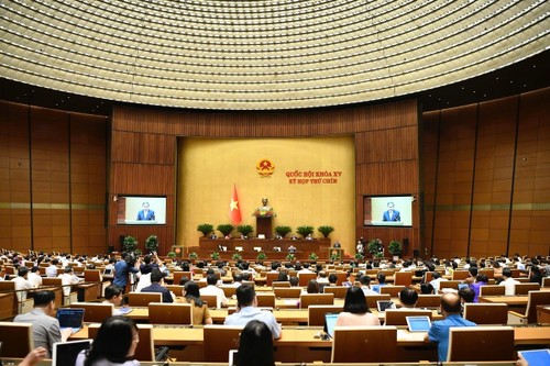 Việt Nam định hình chiến lược cạnh tranh riêng để thu hút đầu tư FDI và phát triển bền vững  - ảnh 1