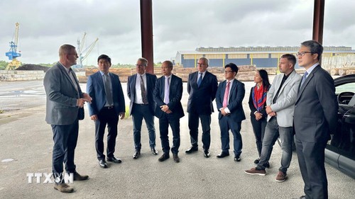 Thúc đẩy hợp tác cấp địa phương giữa Việt Nam và Pháp - ảnh 1