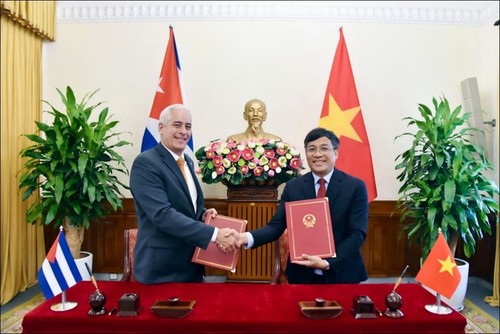 Tham khảo chính trị lần thứ VIII giữa Bộ Ngoại giao Việt Nam và Bộ Ngoại giao Cuba - ảnh 2