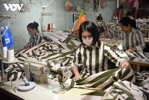 Luật hóa tổ chức hoạt động lao động, hướng nghiệp, dạy nghề cho phạm nhân ngoài trại giam - ảnh 1