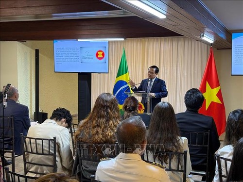 Thúc đẩy tiềm năng hợp tác Việt Nam – Mercosur - ảnh 2