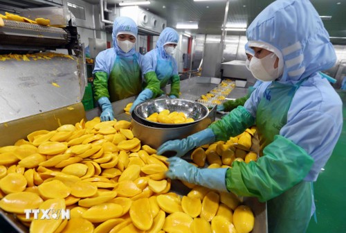 Bộ trưởng Bộ Công Thương sắp đối thoại trực tiếp với nông dân - ảnh 1