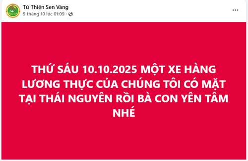 Hội Từ thiện Sen vàng Berlin: Gửi về quê nhà tình cảm ấm áp, mong nơi ấy sẽ bình yên! - ảnh 5