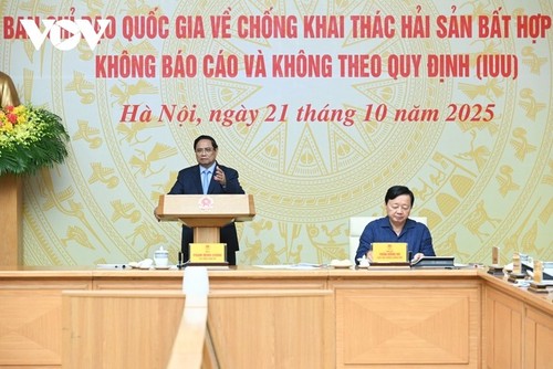 Thủ tướng Phạm Minh Chính: Hành động thực chất, nhanh chóng gỡ thẻ vàng IUU - ảnh 1