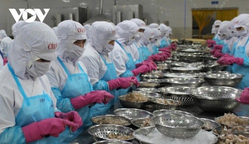 Xuất khẩu thuỷ sản có thể lập kỷ lục mới trong năm 2025 - ảnh 1