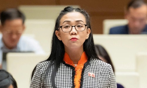 Khuyến khích doanh nghiệp tư nhân tham gia đầu tư phát triển điện hạt nhân - ảnh 1