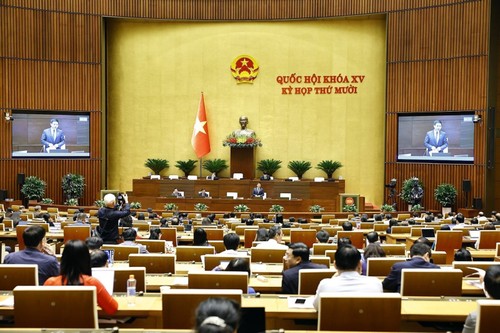 Quốc hội họp phiên toàn thể ở Hội trường, biểu quyết thông qua nhiều dự án luật - ảnh 1