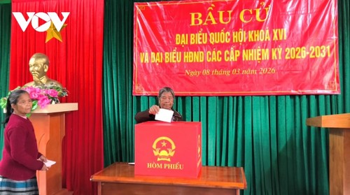 Các đặc khu tổ chức bầu cử sớm - ảnh 4