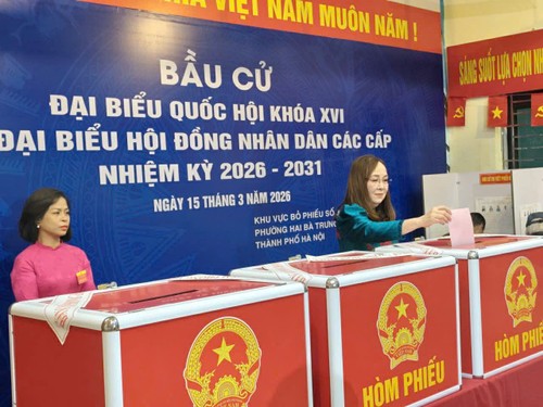 Kiều bào gửi gắm niềm tin qua lá phiếu - ảnh 2