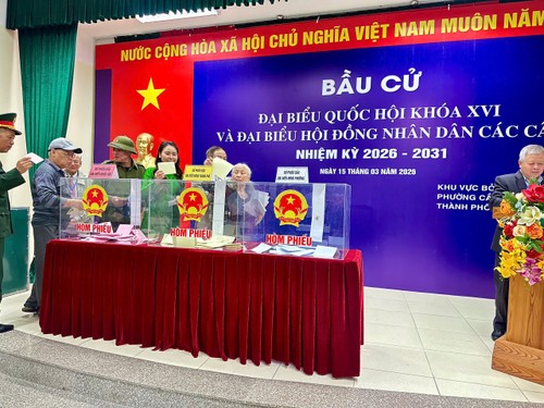 Kiều bào gửi gắm niềm tin qua lá phiếu - ảnh 1