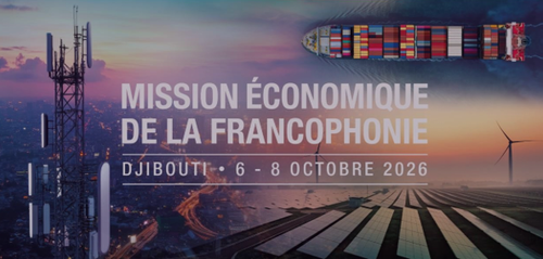 Thúc đẩy hợp tác kinh tế Pháp ngữ tại Đông Phi - ảnh 1