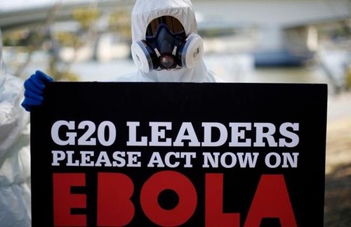 G20 berkomitmen menghapuskan wabah Ebola - ảnh 1