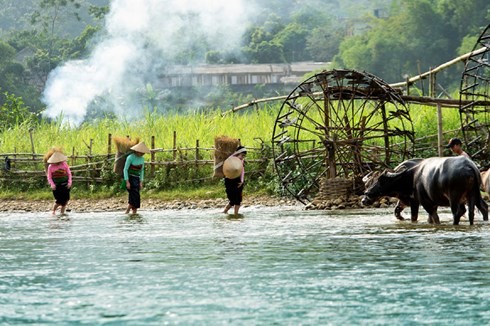 Pameran foto dan lukisan : "Vietnam dalam hati saya" - ảnh 28