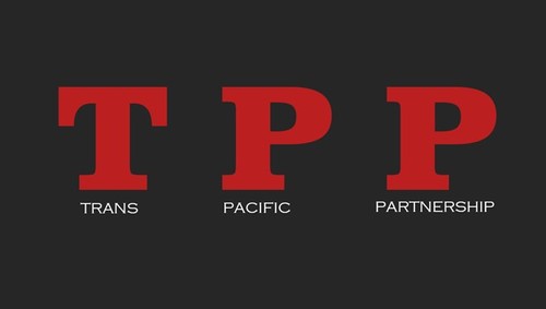 Kanada menegaskan akan berpartisipasi pada perundingan pasca TPP di Cile - ảnh 1