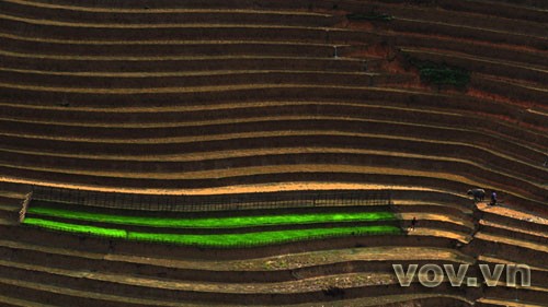 Terraced fields - ảnh 2