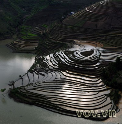 Terraced fields - ảnh 8