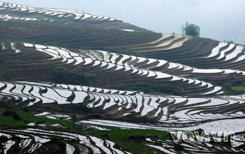 Terraced fields - ảnh 9