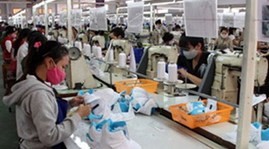 Vietnam-Chile trade exceeds 600 million USD - ảnh 1