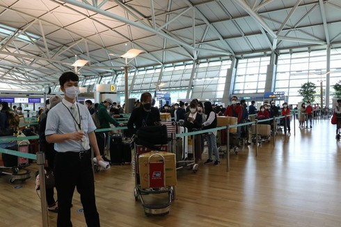 340 Vietnamese citizens repatriated from Republic of Korea - ảnh 1