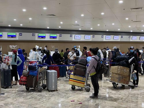 240 Vietnamese citizens repatriated from the Philippines  - ảnh 1