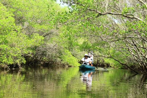 UNDP helps Vietnam’s coastal communities adapt to climate change  - ảnh 2