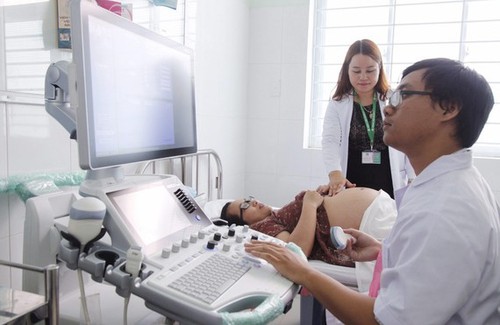 Ho Chi Minh City's fertility rate falls alarmingly  - ảnh 1