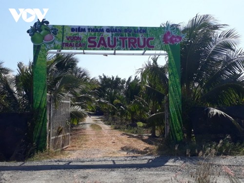 Binh Thuan unlocks agricultural tourism potential  - ảnh 1