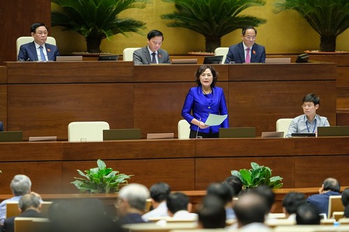 State Bank governor: Interest rate is stable despite outside pressure - ảnh 1