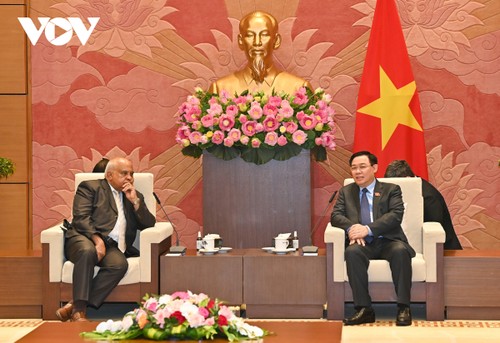 Vietnam values relations with Cuba and Russia  - ảnh 1