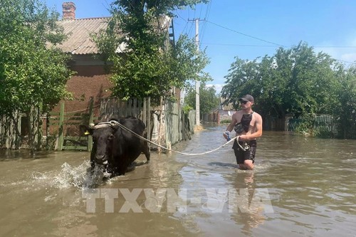 Kakhovka dam collapse: Ukraine warns of risks to global food security - ảnh 1