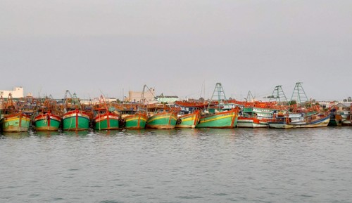 More aggressive measures taken to combat IUU fishing  - ảnh 1