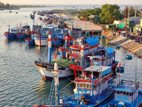 Vietnam adopts measures to have EC's IUU "yellow card" lifted: Indonesian expert - ảnh 1
