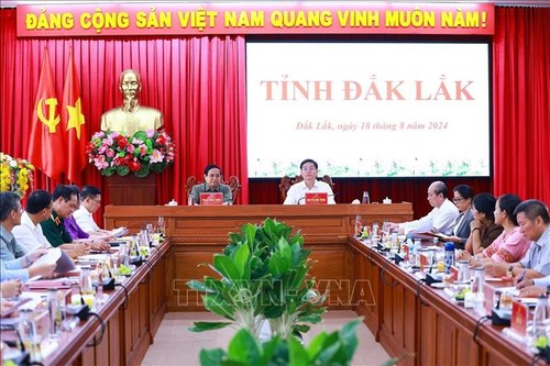 PM works with leaders of Dak Lak province  - ảnh 1