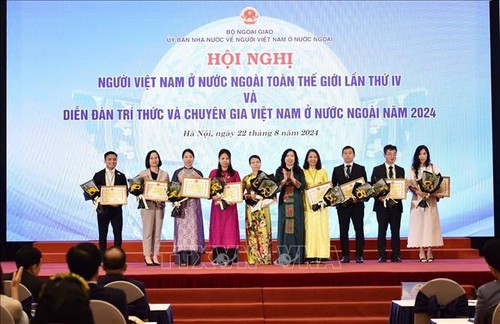 Overseas Vietnamese-related work done more comprehensively, robustly: Deputy FM - ảnh 1