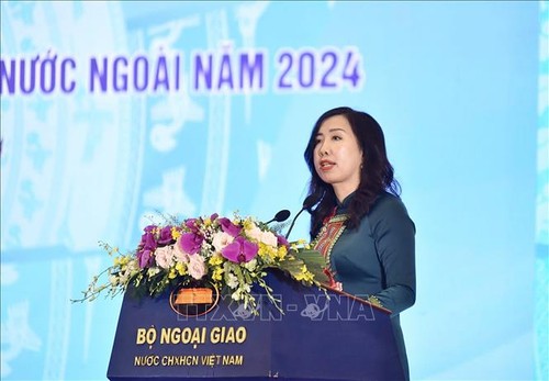 Overseas Vietnamese-related work done more comprehensively, robustly: Deputy FM - ảnh 2