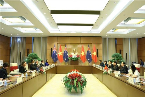 Vietnam, Australia hold high-level talks  - ảnh 1