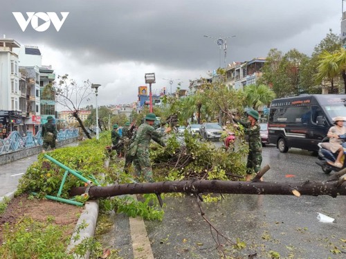 Northern Vietnam battles landslides, floods, death toll from Typhoon Yagi rises to 71 - ảnh 3