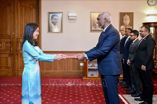 President of Maldives proposes strengthening cooperation with Vietnam - ảnh 1