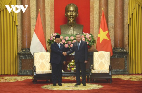 Top leader of Vietnam receives President-elect of Indonesia - ảnh 1