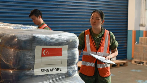 Disaster aid arrives from Singapore - ảnh 1