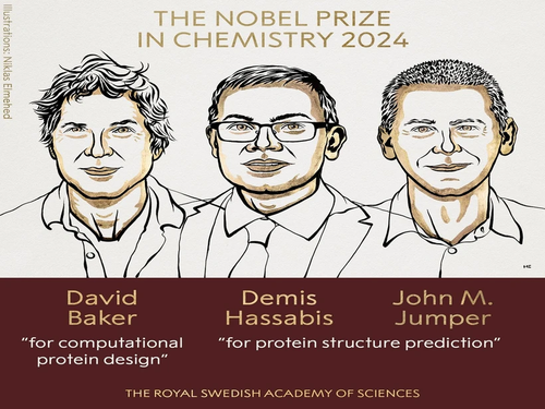 Nobel Prize in Chemistry awarded for work on proteins, building blocks of life - ảnh 1