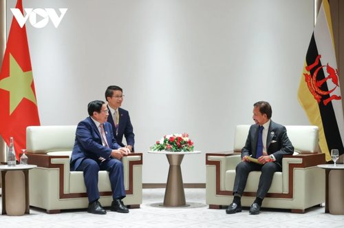 Vietnamese Prime Minister meets with Sultan of Brunei - ảnh 1