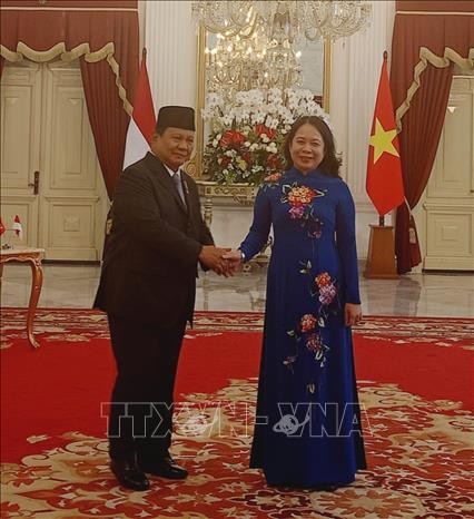 Vietnam, Indonesia seek to increase bilateral trade to 18 billion USD - ảnh 1