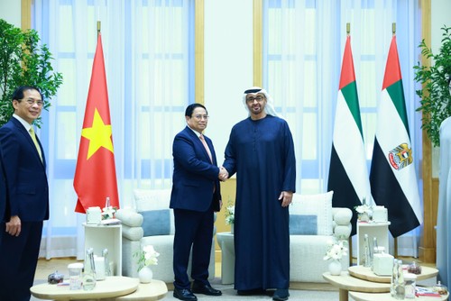 Vietnam, UAE upgrade bilateral ties to comprehensive partnership - ảnh 1