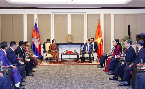 Top legislator receives Chairwoman of Cambodia-Vietnam Friendship Association - ảnh 2