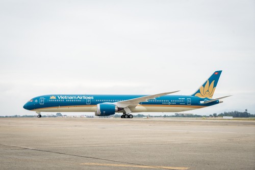 Airlines add more aircraft to their fleet for Lunar New Year peak - ảnh 1